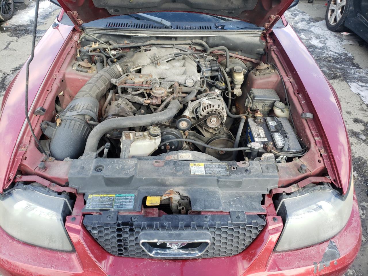 Photo 7 from auction – 2004 FORD MUSTANG with VIN 1FAFP40644F150879
