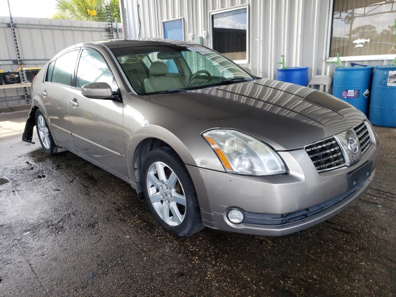 NISSAN MAXIMA SE 2005 with VIN 1N4BA41EX5C846896 - Photo from auction