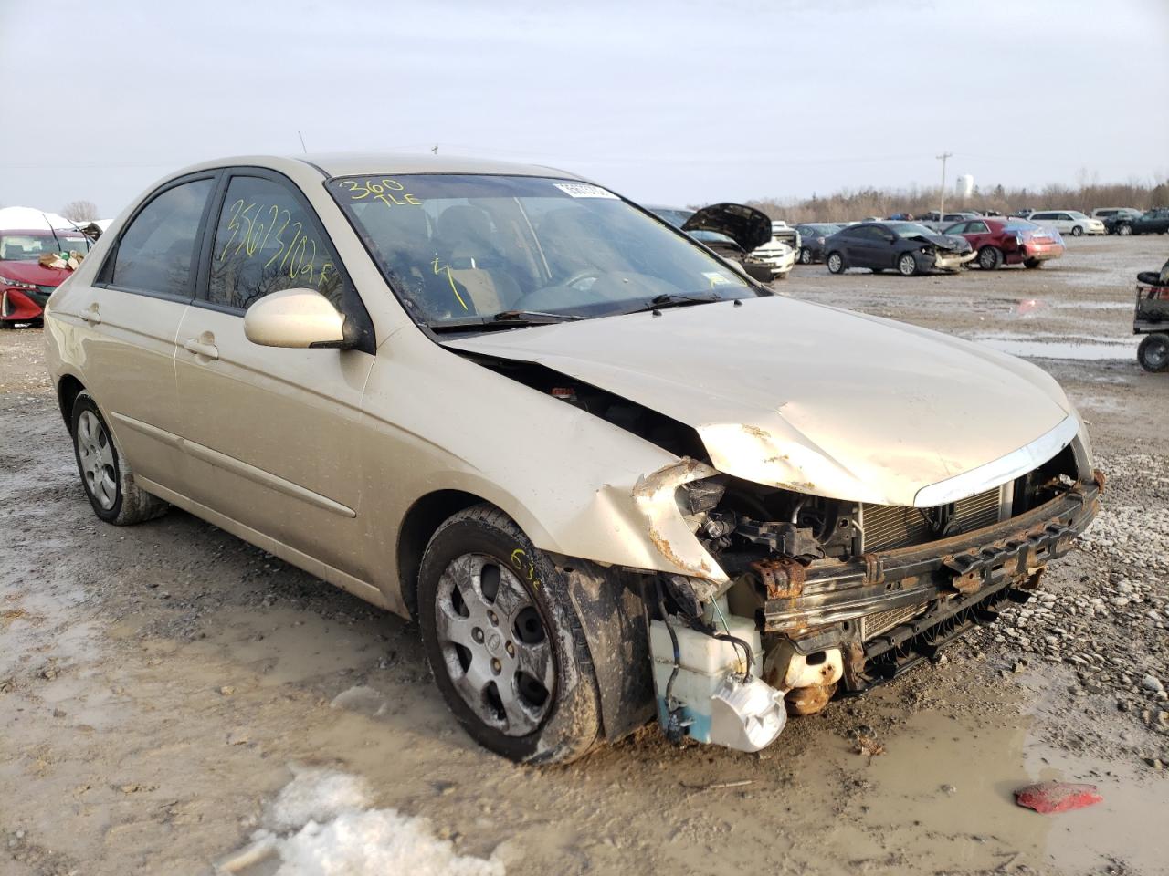 KIA SPECTRA EX 2009 с VIN KNAFE222295660267 - Фото с аукциона