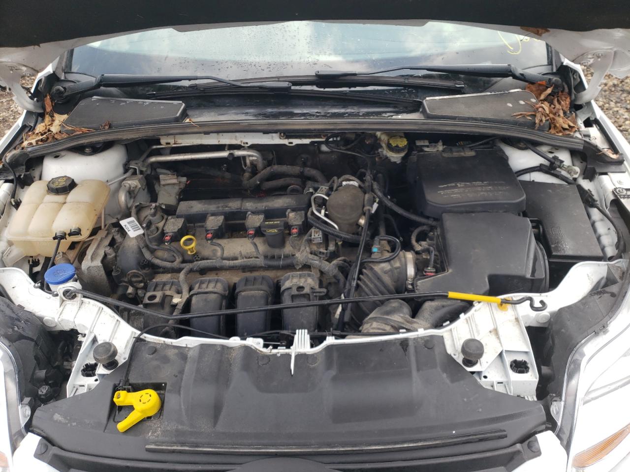 Photo 7 from auction – 2014 FORD FOCUS SE with VIN 1FADP3F28EL373998