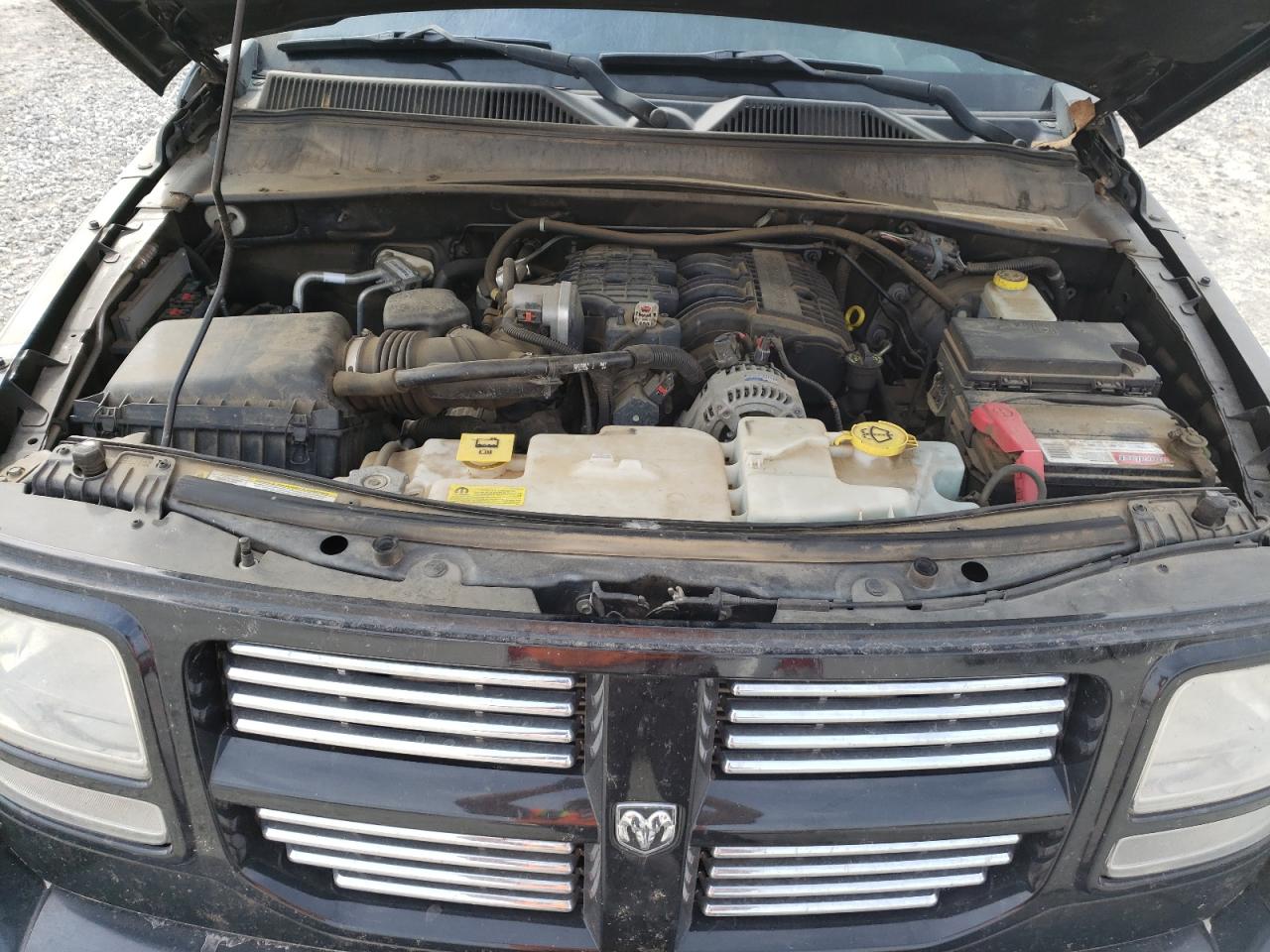 Photo 7 from auction – 2010 DODGE NITRO DETO with VIN 1D4PU6GX7AW157129