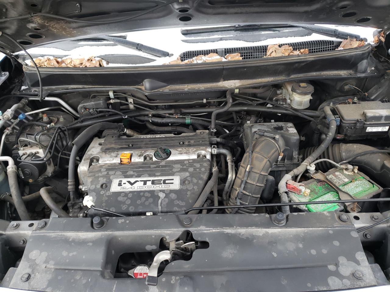 Photo 7 from auction – 2009 HONDA ELEMENT EX with VIN 5J6YH287X9L005222