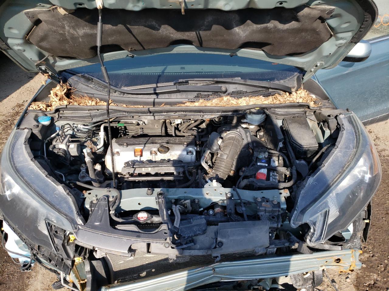 Photo 7 from auction – 2012 HONDA CR-V EXL with VIN 2HKRM4H77CH612000
