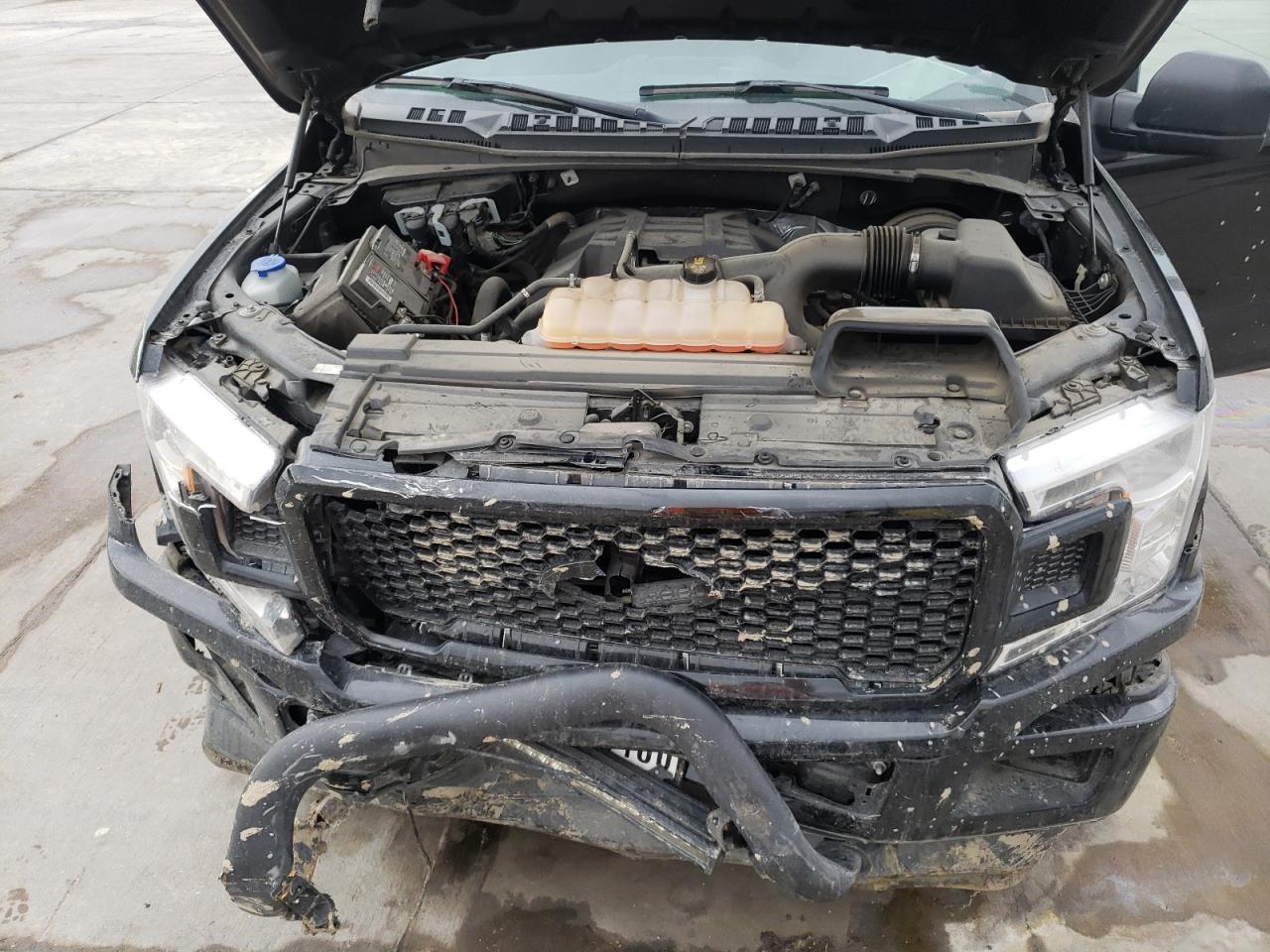 Photo 7 from auction – 2018 FORD F150 SUPER with VIN 1FTEW1CP3JKF53105