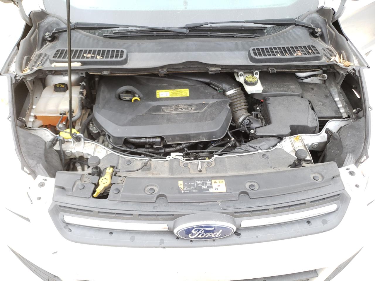 Photo 7 from auction – 2014 FORD ESCAPE SE with VIN 1FMCU0GX0EUC93995