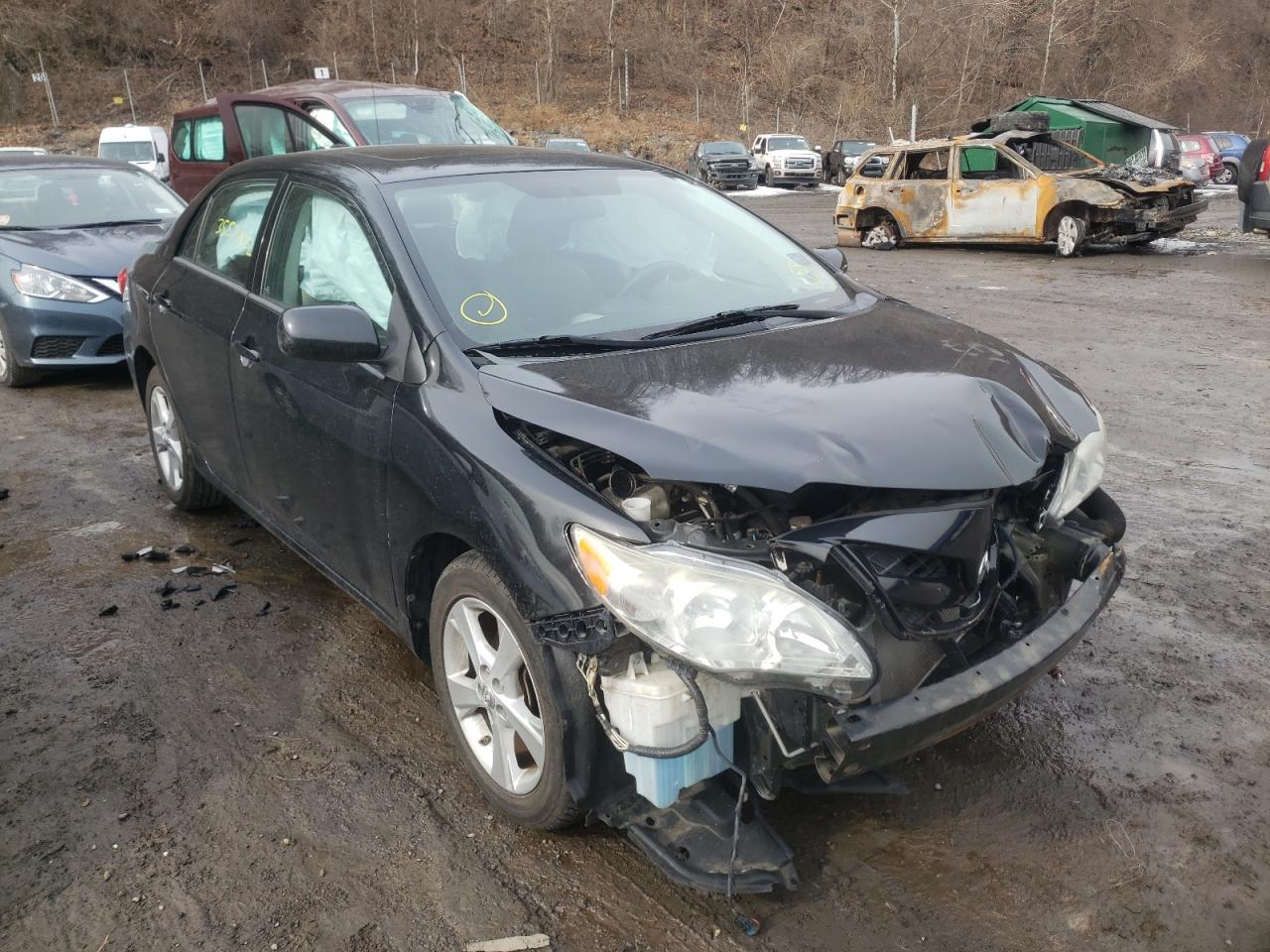 TOYOTA COROLLA 2012 with VIN 2T1BU4EE9CC840622 - Photo from auction
