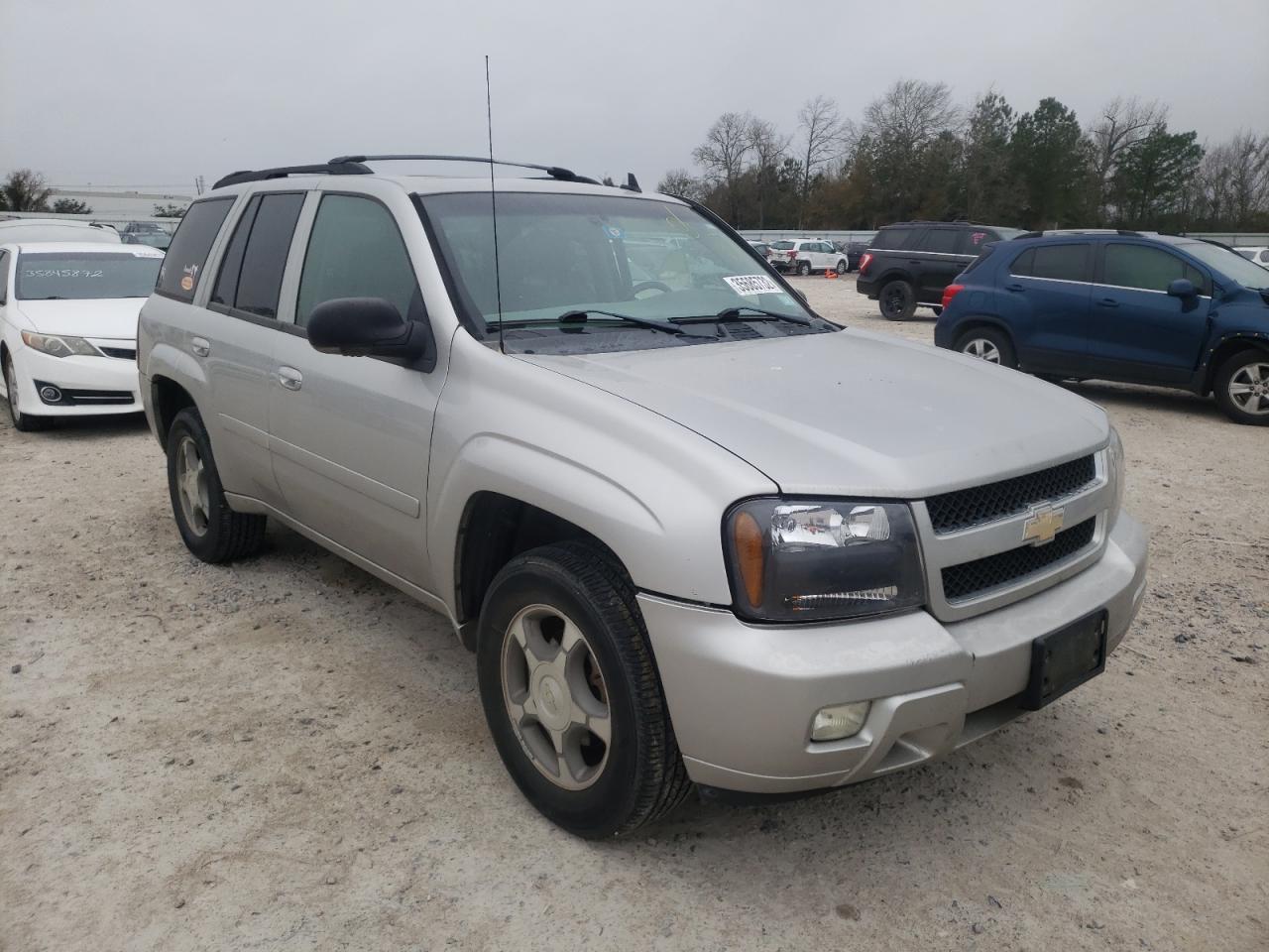 CHEVROLET TRAILBLAZE 2006 with VIN 1GNDS13S462199699 - Photo from auction