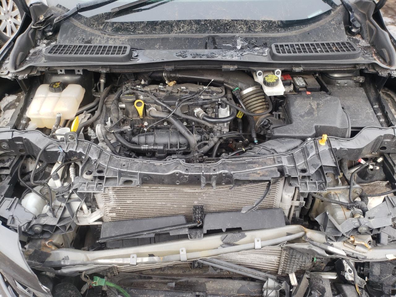 Photo 7 from auction – 2016 FORD ESCAPE SE with VIN 1FMCU0GX8GUC87641