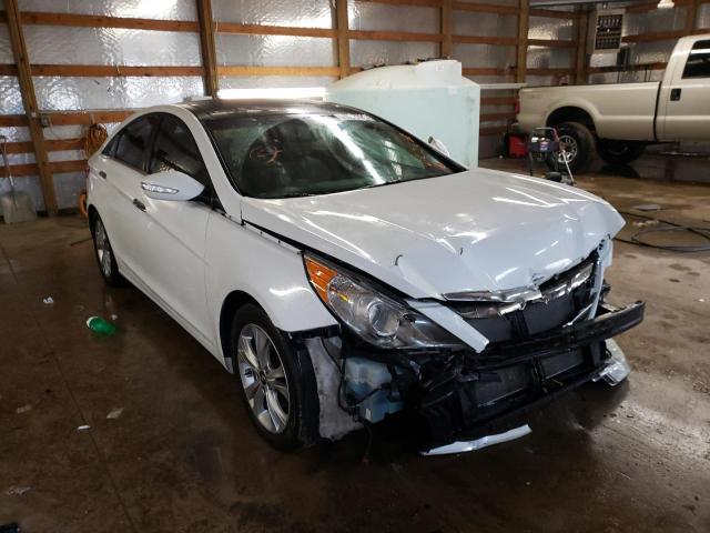 HYUNDAI SONATA SE 2013 with VIN 5NPEC4AC8DH802608 - Photo from auction