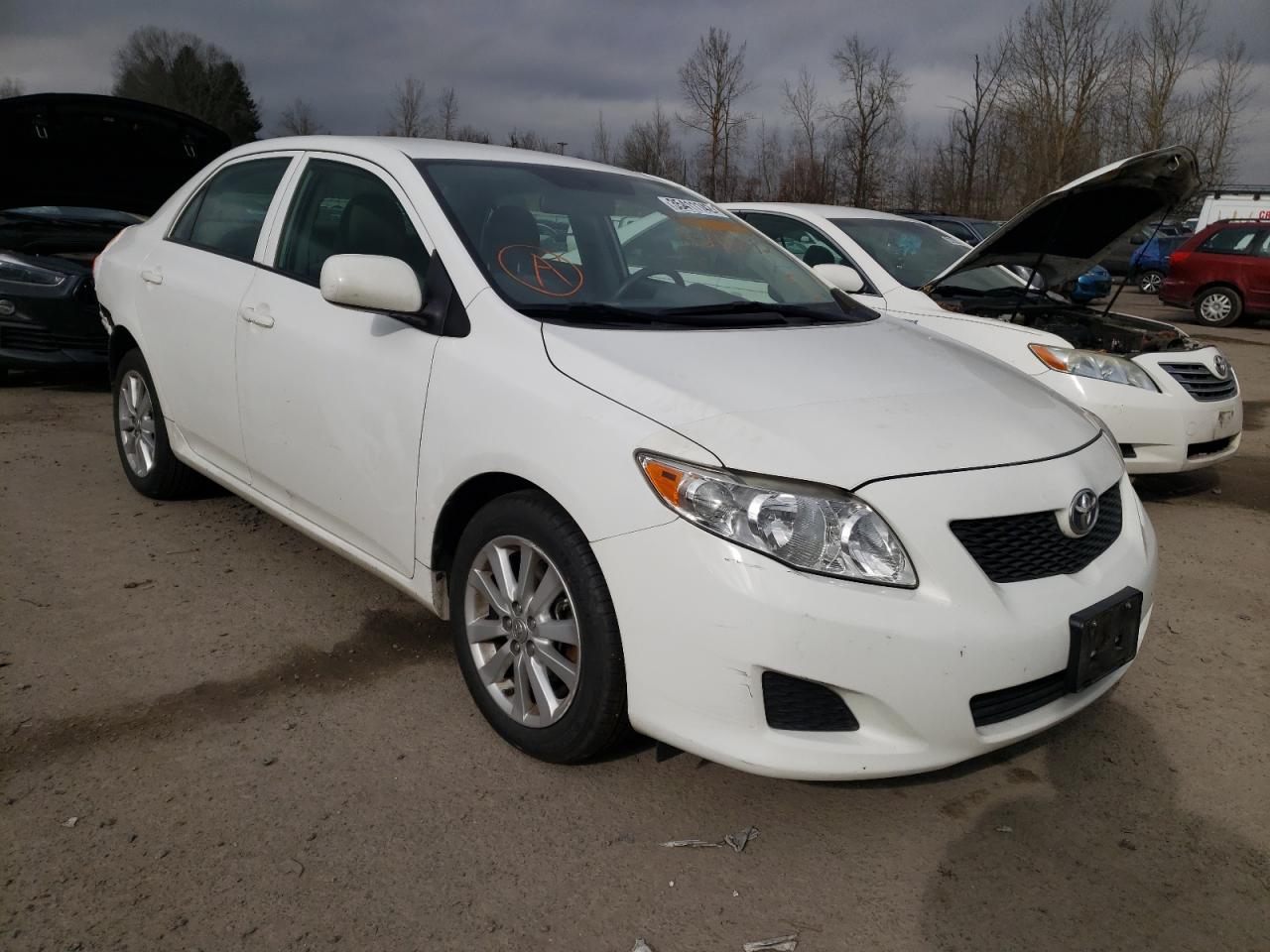 TOYOTA COROLLA BA 2009 with VIN JTDBL40E499066675 - Photo from auction