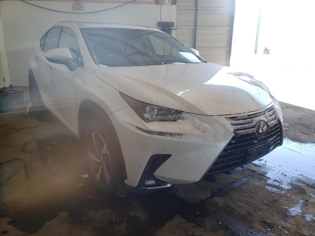 Photo 1 from auction – 2019 LEXUS NX 300 BAS with VIN JTJBARBZ6K2179381