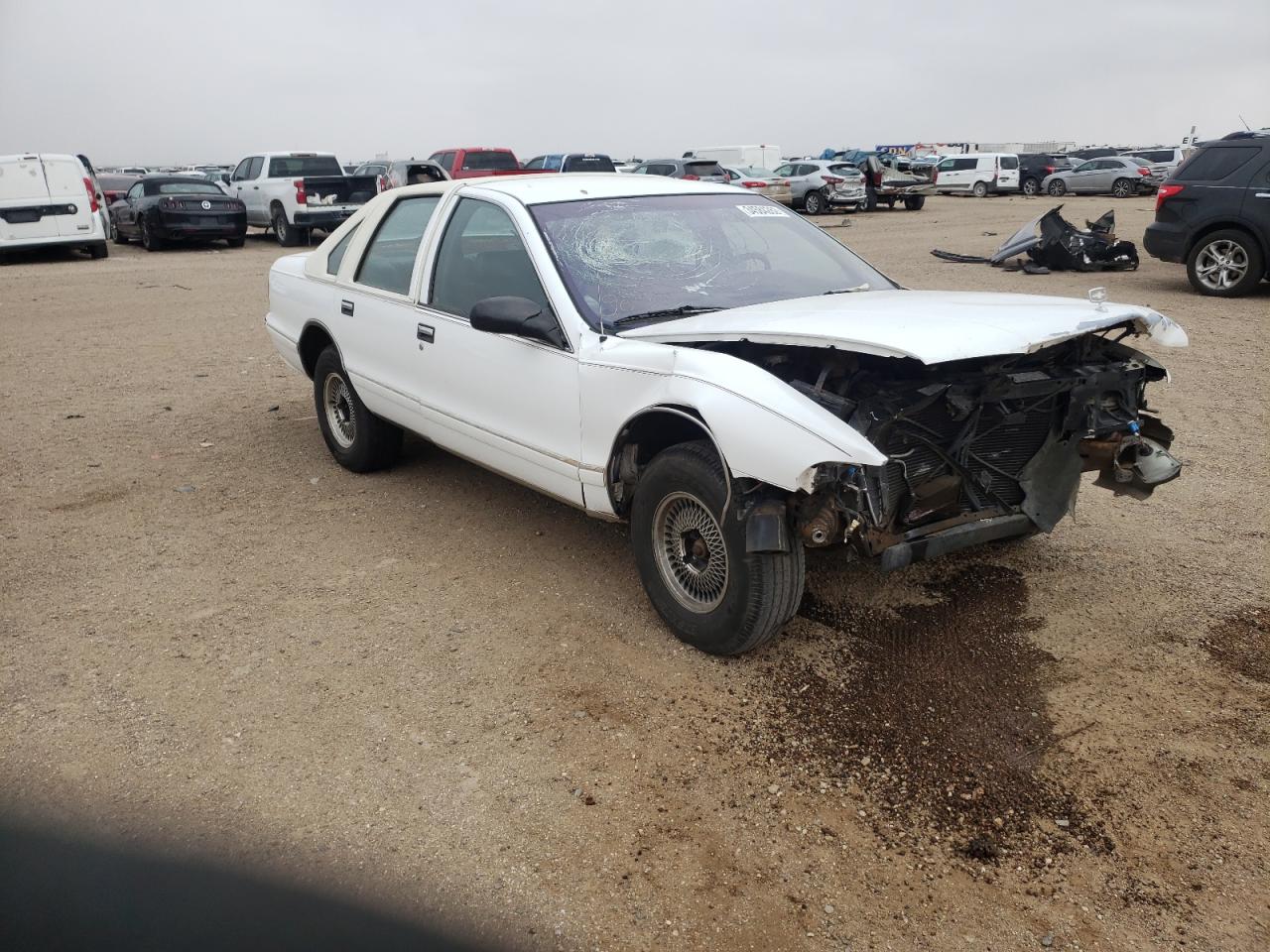 CHEVROLET CAPRICE / 1996 with VIN 1G1BL52P4TR168322 - Photo from auction