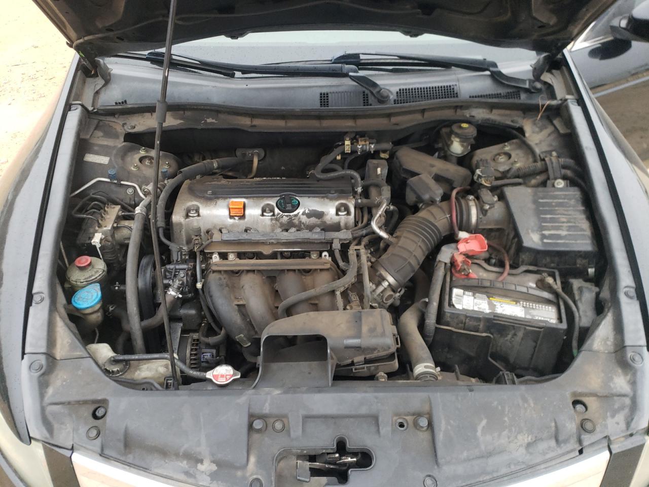 Photo 7 from auction – 2010 HONDA ACCORD LXP with VIN 1HGCP2F4XAA056829