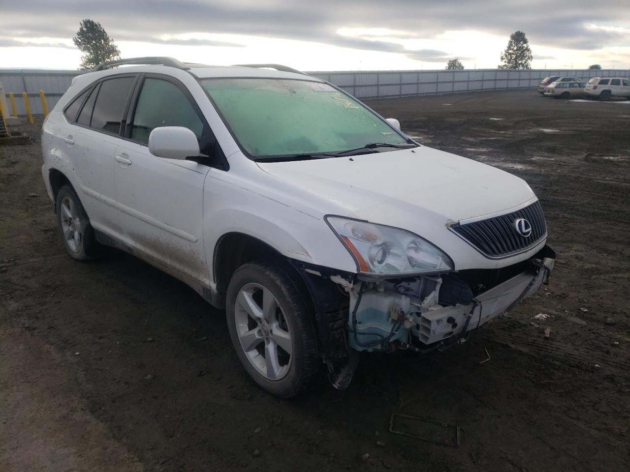 Фото 1 с аукциона – 2004 LEXUS RX 330 с VIN 2T2HA31U14C018131