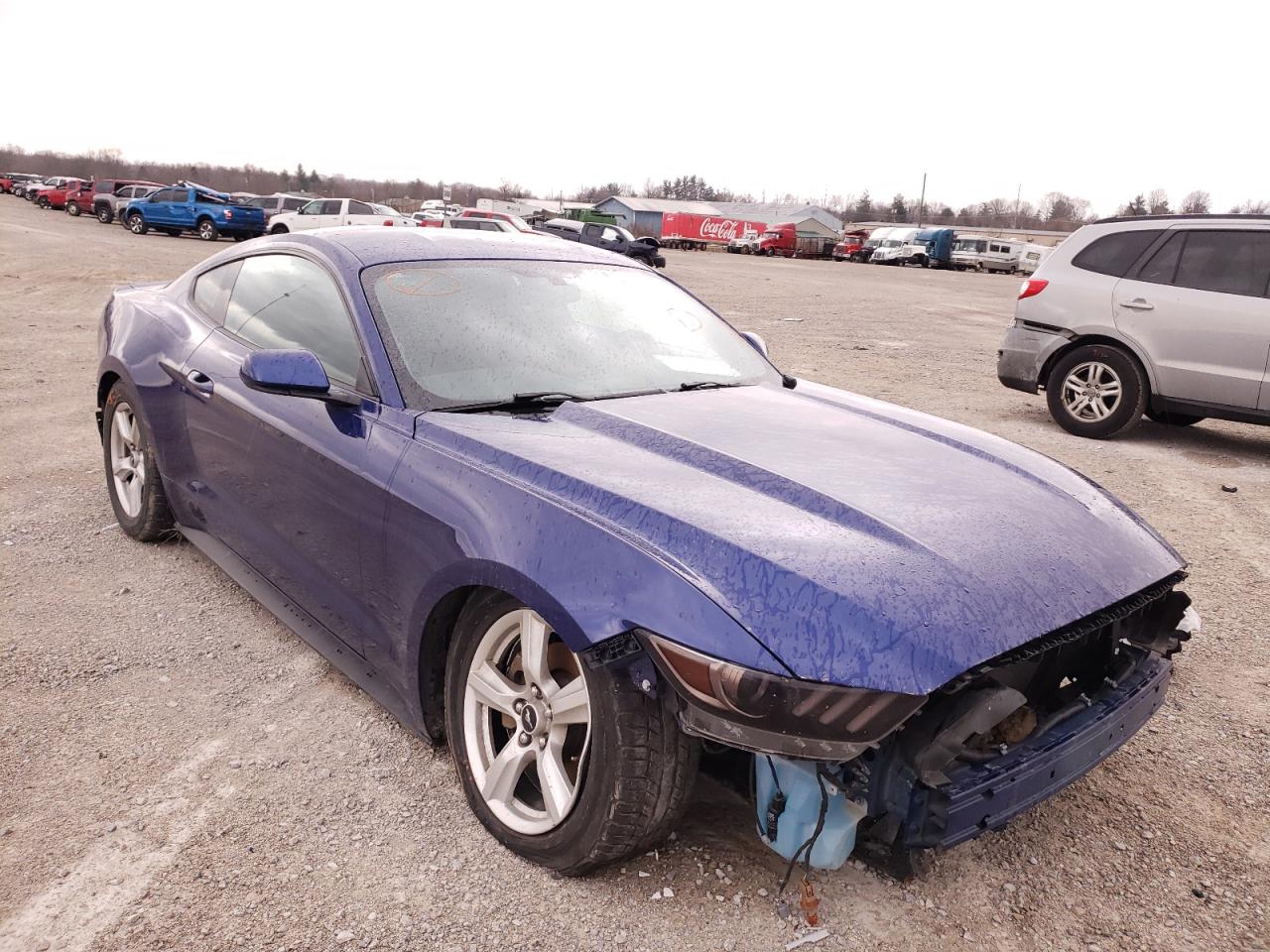 FORD MUSTANG 2016 with VIN 1FA6P8AM4G5321113 - Photo from auction
