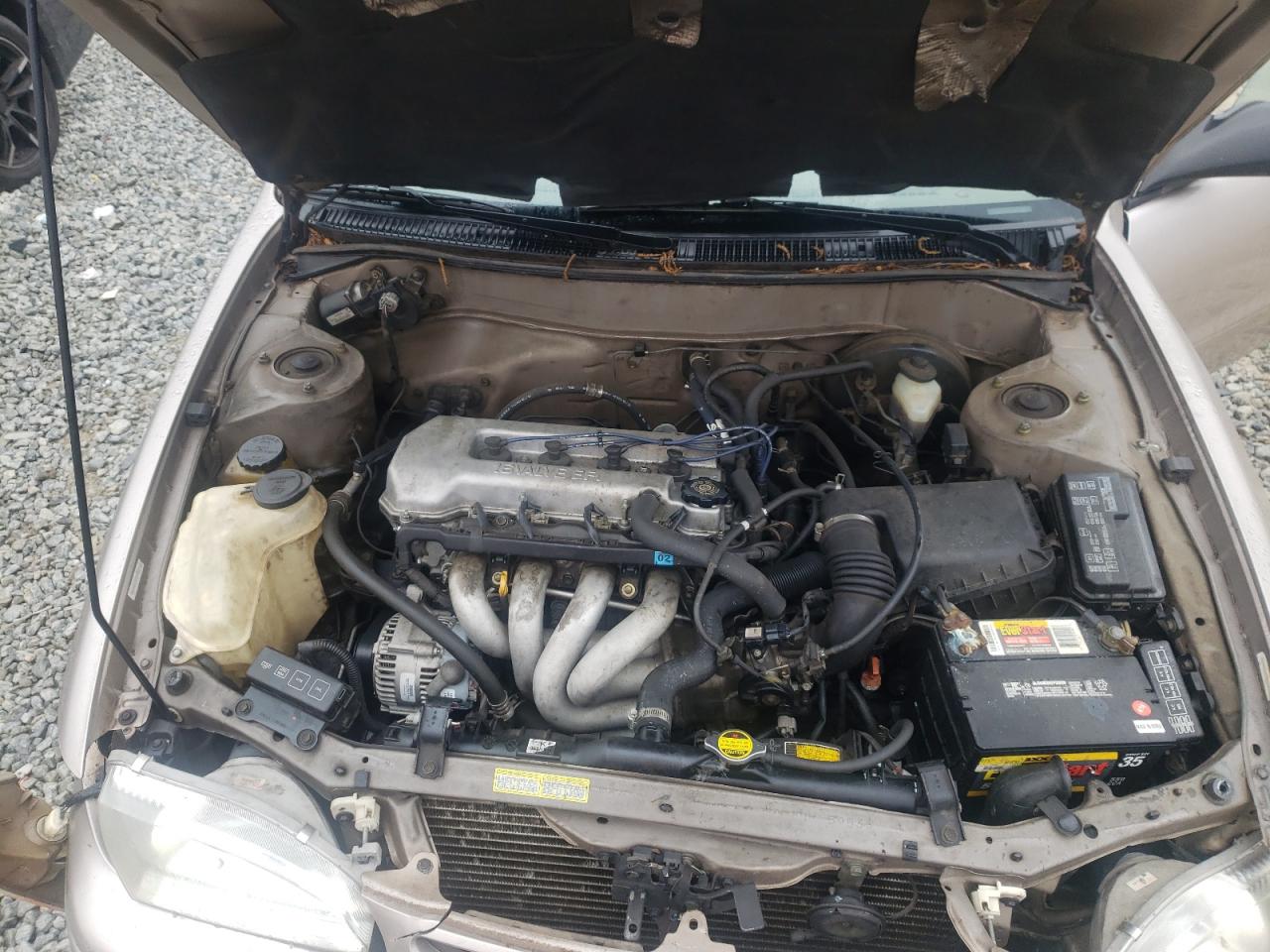 Photo 7 from auction – 1998 TOYOTA COROLLA VE with VIN 1NXBR12E5WZ116370