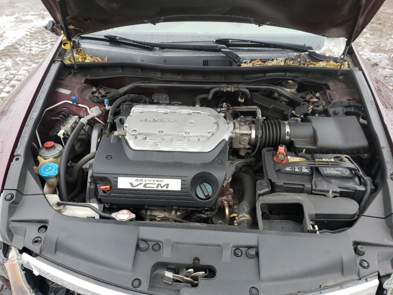Photo 7 from auction – 2008 HONDA ACCORD EXL with VIN 1HGCP368X8A030556