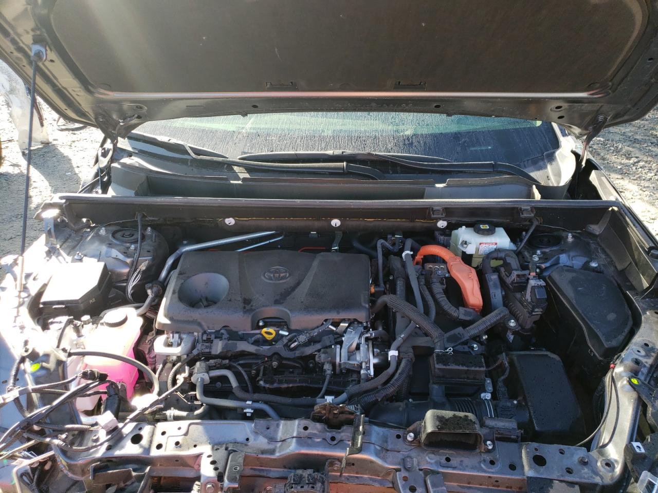 Photo 7 from auction – 2020 TOYOTA RAV4 XLE with VIN JTMR6RFV4LD004367