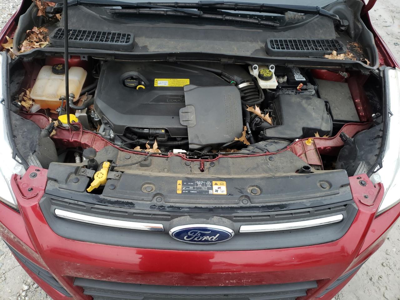 Photo 7 from auction – 2014 FORD ESCAPE SE with VIN 1FMCU9GX8EUD09526