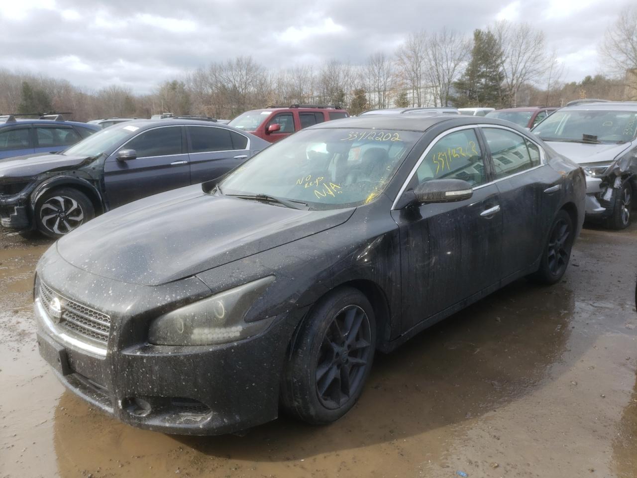 Photo 2 from auction – 2011 NISSAN MAXIMA S with VIN 1N4AA5AP5BC846206