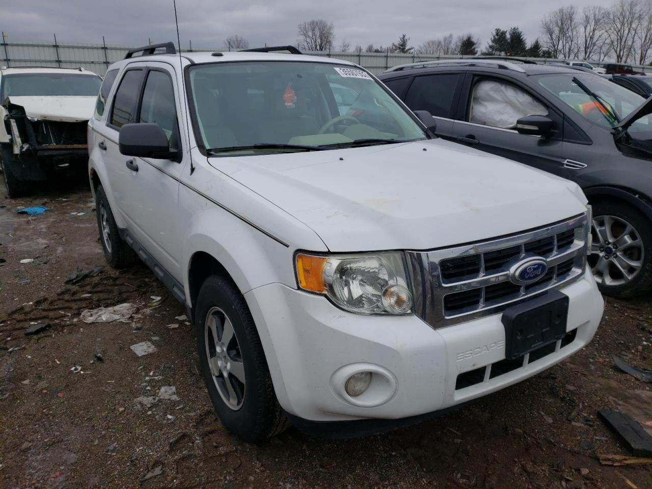 FORD ESCAPE XLT 2010 with VIN 1FMCU0D71AKD21152 - Photo from auction