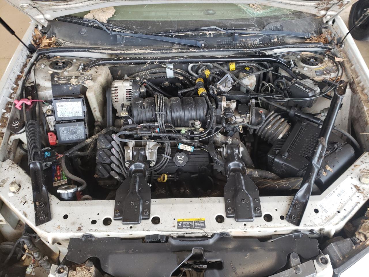 Photo 7 from auction – 2003 CHEVROLET IMPALA LS with VIN 2G1WH52K939234784