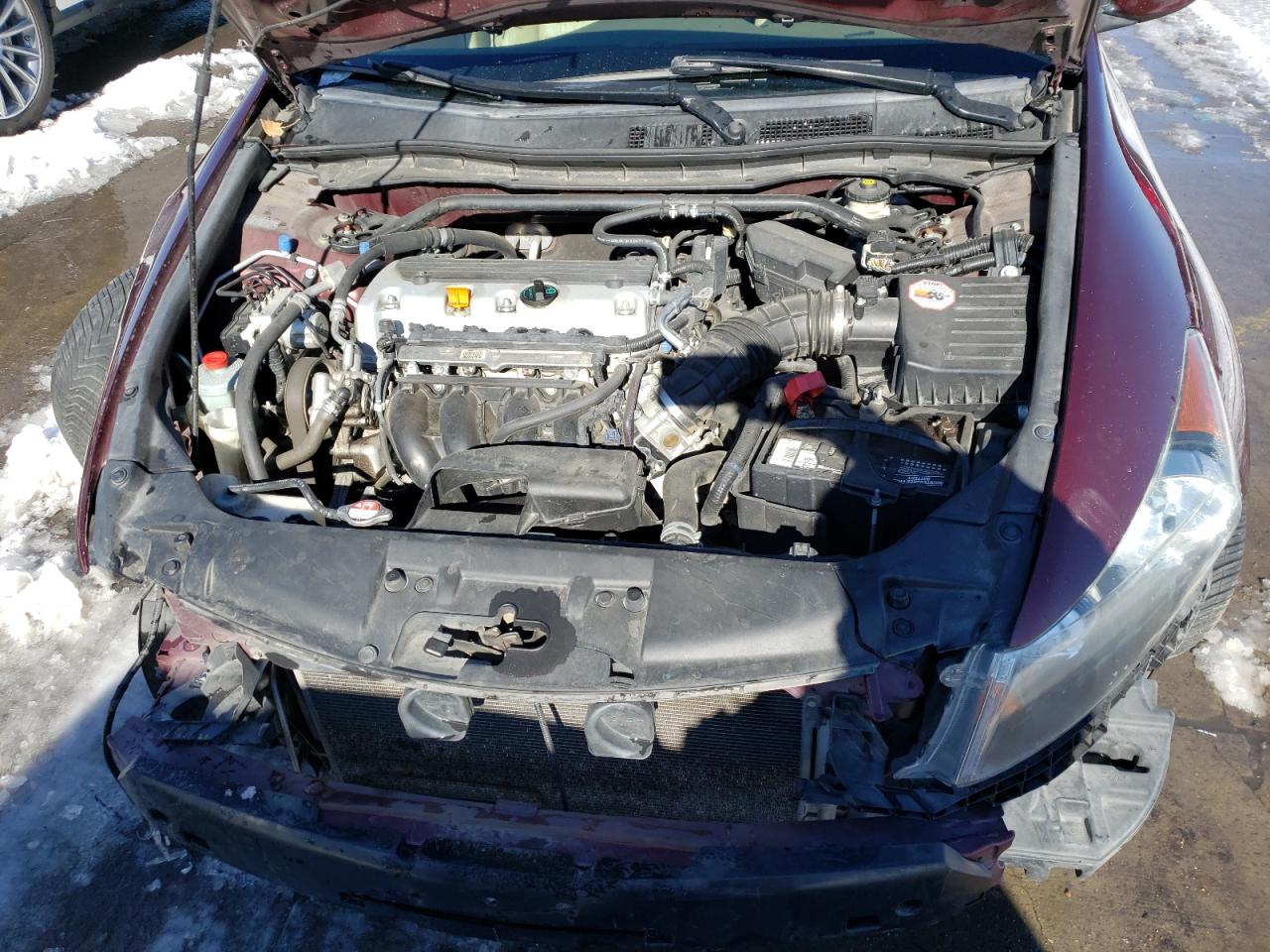 Photo 7 from auction – 2010 HONDA ACCORD EXL with VIN 1HGCP2F86AA137975