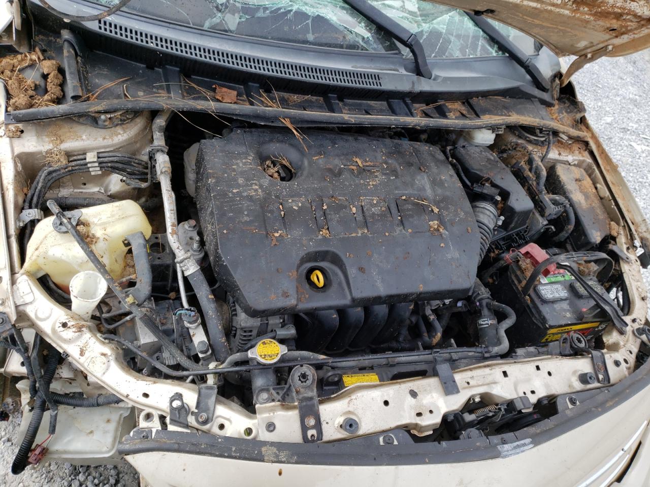 Photo 7 from auction – 2013 TOYOTA COROLLA BA with VIN 5YFBU4EE7DP197656