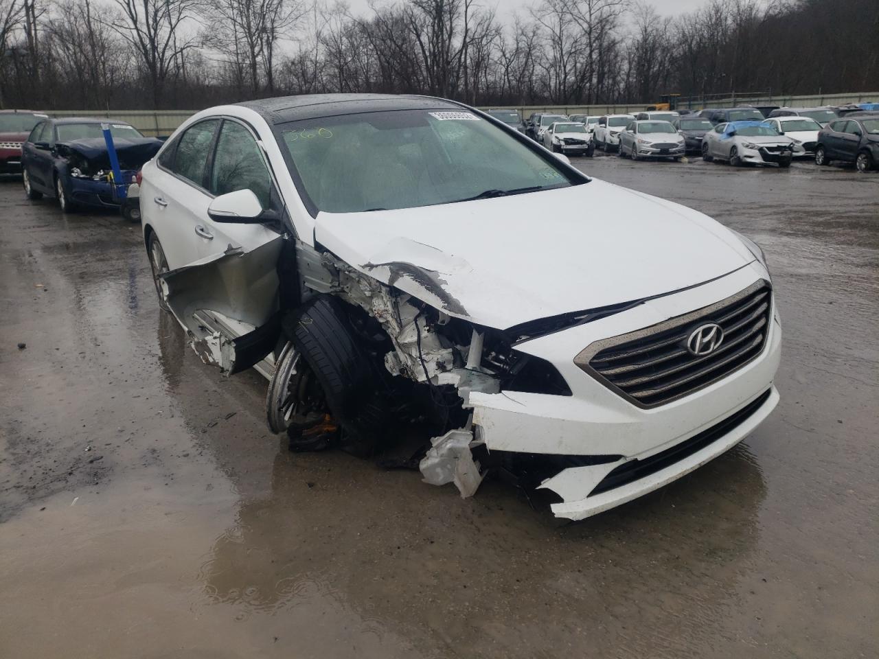 HYUNDAI SONATA SPO 2015 with VIN 5NPE34AF1FH037044 - Photo from auction