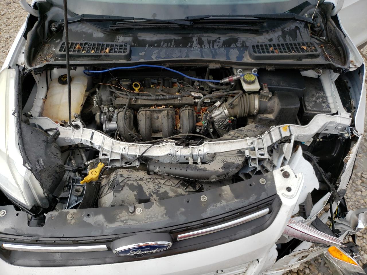 صورة رقم 7 من المزاد - 2016 FORD ESCAPE SE مع VIN 1FMCU0G71GUA60470