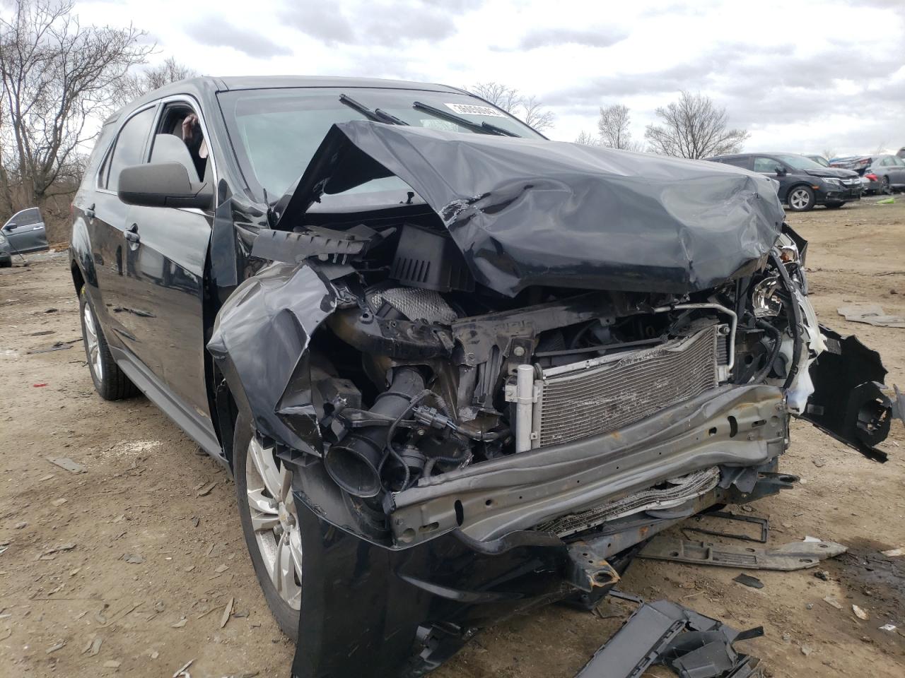 CHEVROLET EQUINOX LS 2014 with VIN 2GNFLEEK8E6186482 - Photo from auction