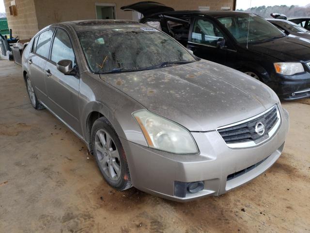 NISSAN MAXIMA SE 2008 with VIN 1N4BA41E98C818768 - Photo from auction