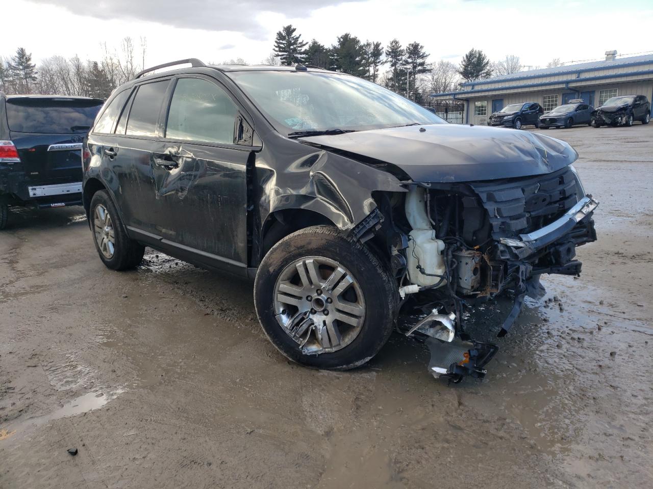 FORD EDGE SEL 2007 with VIN 2FMDK48C87BB14205 - Photo from auction