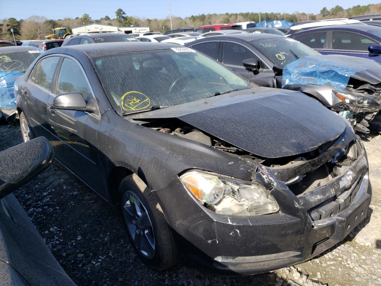 CHEVROLET MALIBU 2LT 2010 with VIN 1G1ZD5EBXAF133682 - Photo from auction