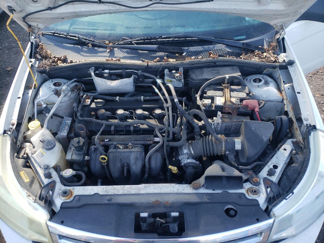 Photo 11 from auction – 2010 FORD FOCUS with VIN 1FAHP3FN8AW284985