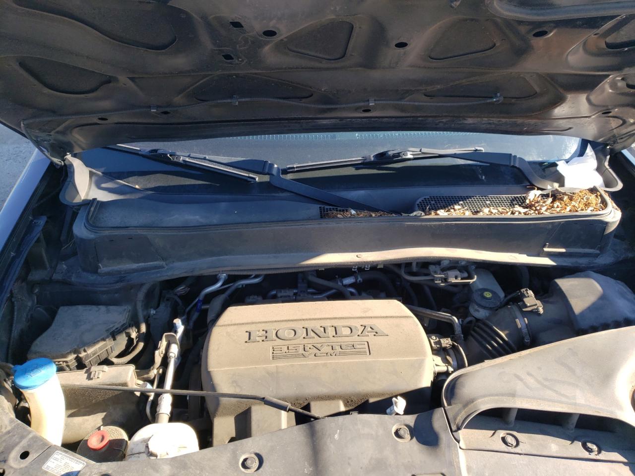 Photo 7 from auction – 2013 HONDA PILOT EXL with VIN 5FNYF4H55DB045385