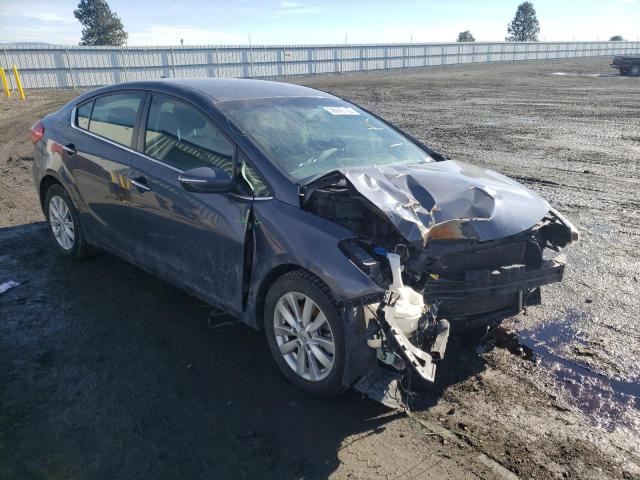KIA FORTE EX 2014 with VIN KNAFX4A84E5091413 - Photo from auction