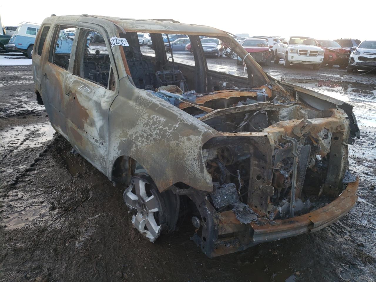 HONDA PILOT EXL 2011 with VIN 5FNYF4H57BB020498 - Photo from auction