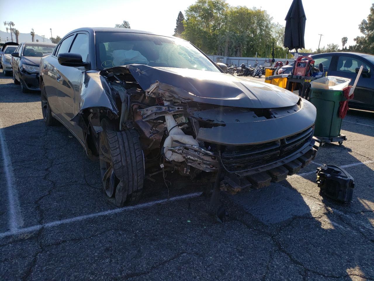 DODGE CHARGER R/ 2016 with VIN 2C3CDXCT1GH180065 - Photo from auction