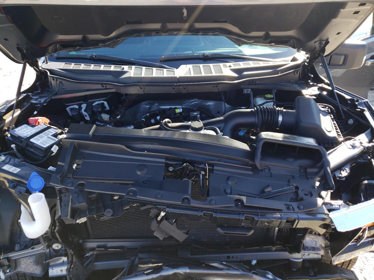 Photo 7 from auction – 2021 FORD F150 SUPER with VIN 1FTEW1CP7MFB99182
