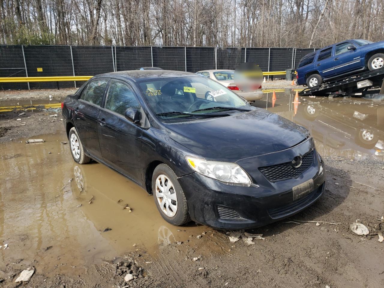 TOYOTA COROLLA BA 2010 with VIN 2T1BU4EEXAC232458 - Photo from auction