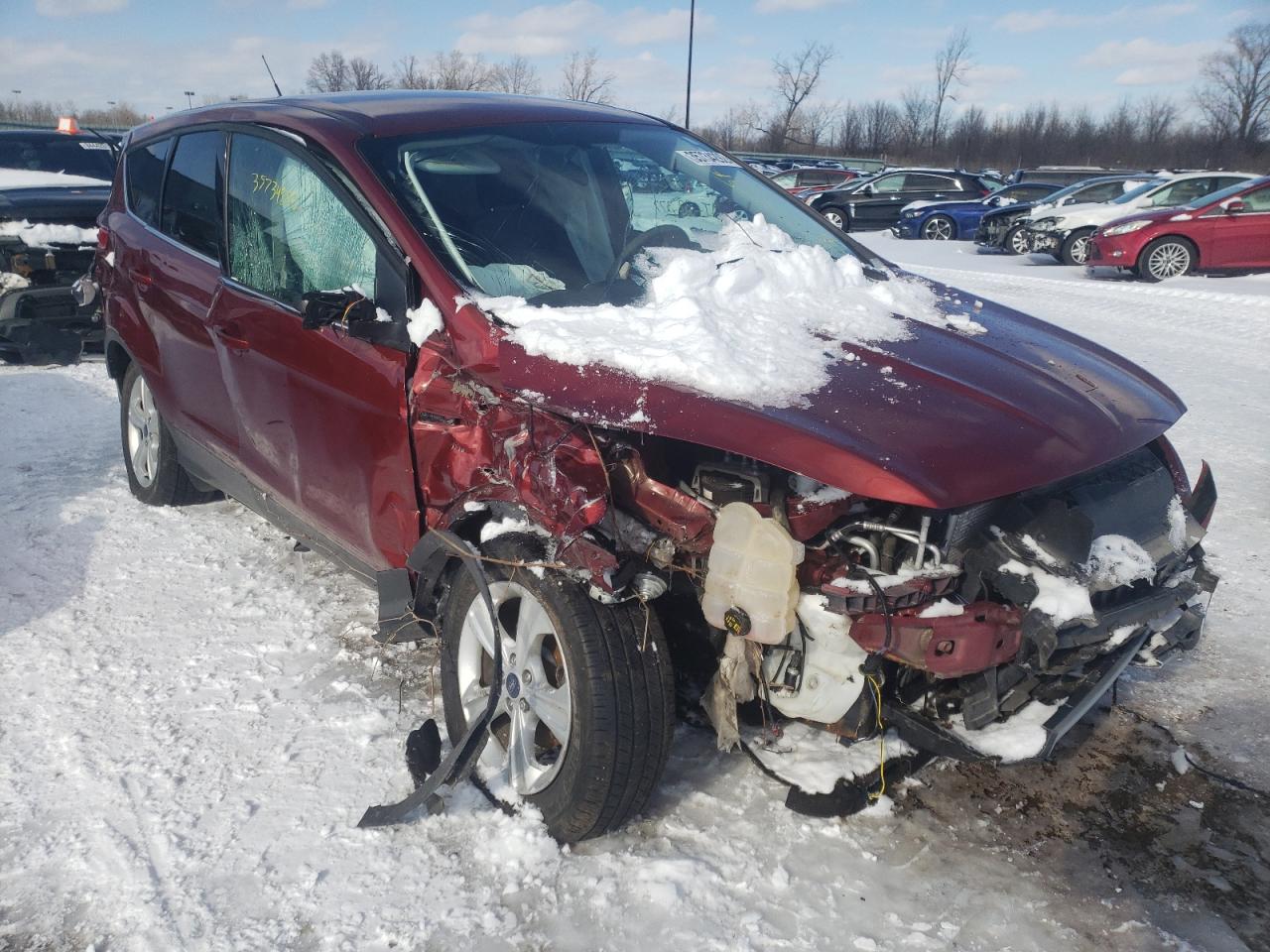 FORD ESCAPE SE 2016 with VIN 1FMCU0G79GUB84308 - Photo from auction