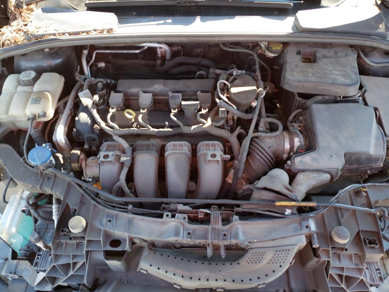 Photo 7 from auction – 2012 FORD FOCUS SEL with VIN 1FAHP3H22CL157138