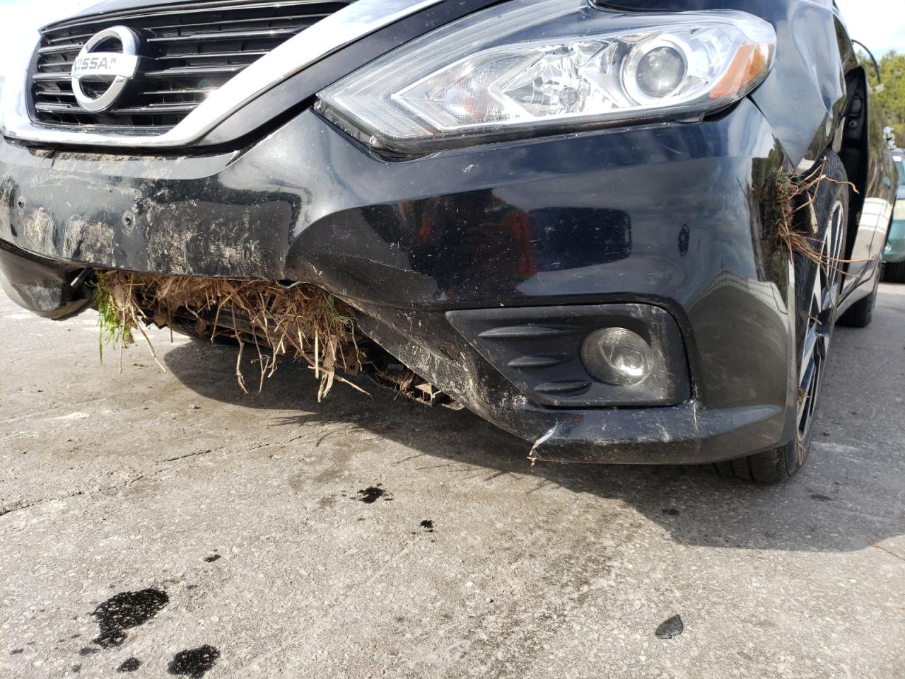 Photo 9 from auction – 2018 NISSAN ALTIMA 2.5 with VIN 1N4AL3AP5JC265642