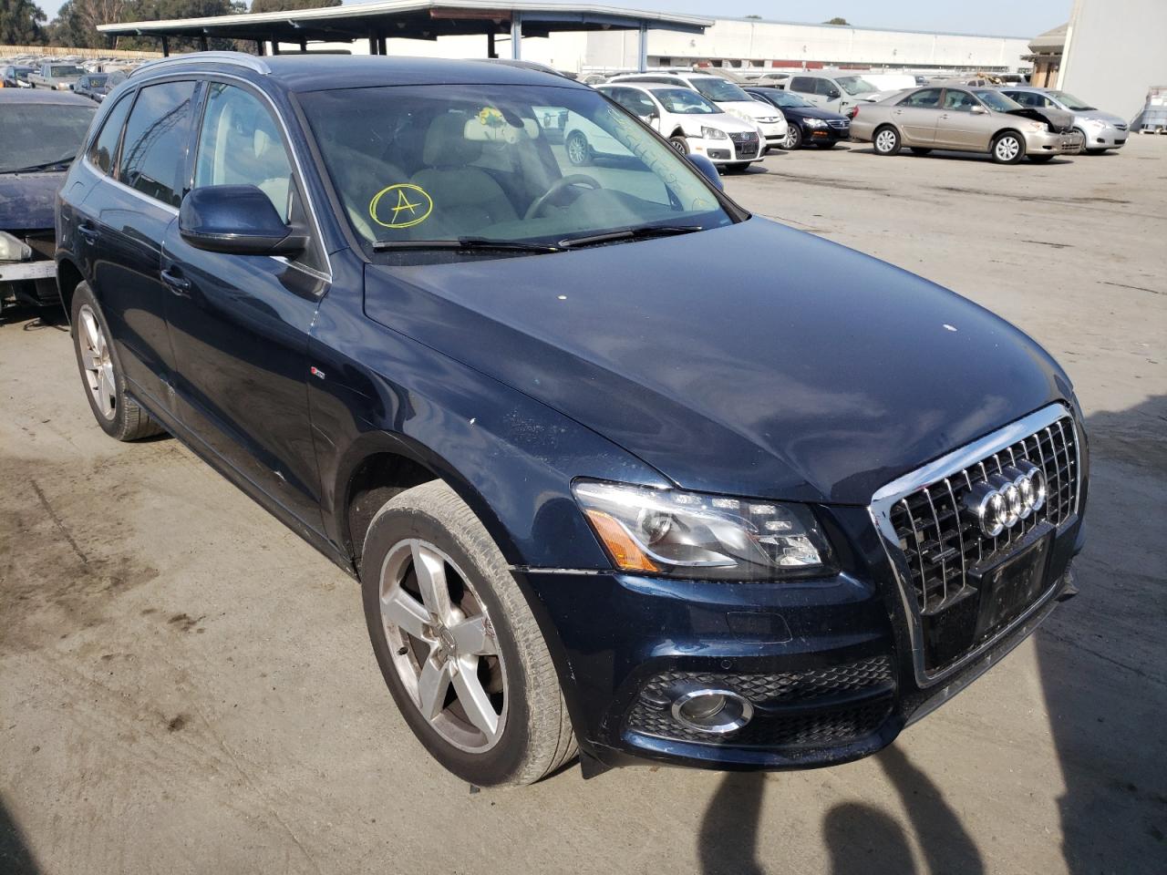 AUDI Q5 PREMIUM 2011 with VIN WA1DKAFP7BA030657 - Photo from auction