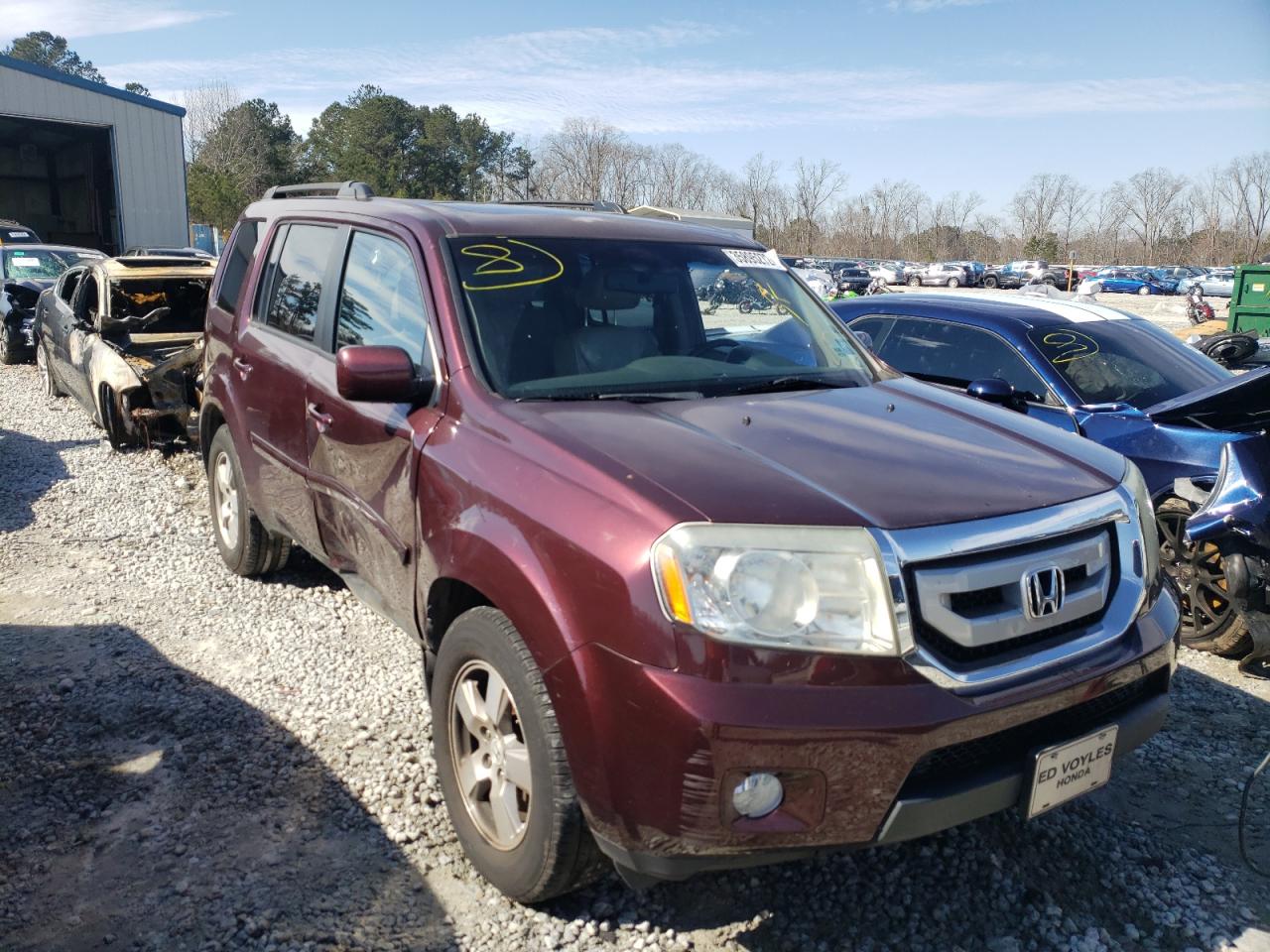 HONDA PILOT EXL 2011 with VIN 5FNYF3H56BB012368 - Photo from auction