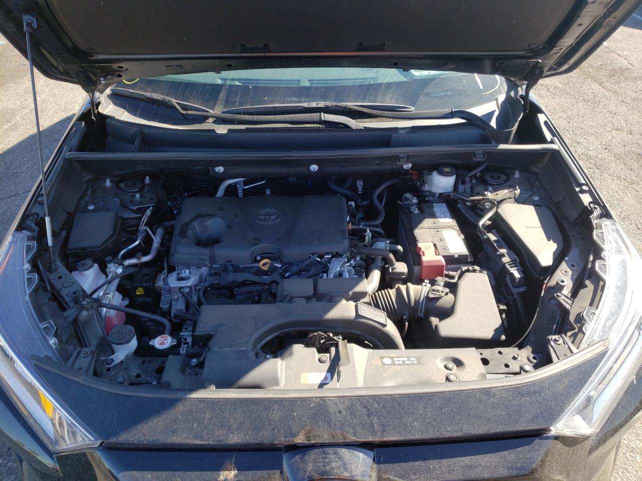 Photo 7 from auction – 2021 TOYOTA RAV4 XLE with VIN 2T3W1RFV1MC154041