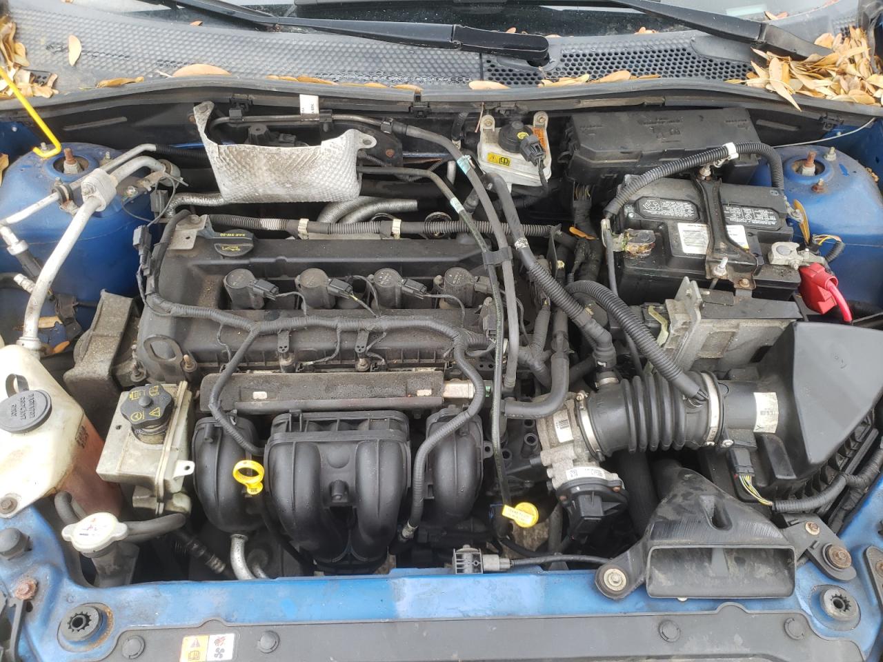 Photo 7 from auction – 2011 FORD FOCUS SEL with VIN 1FAHP3HN3BW144258