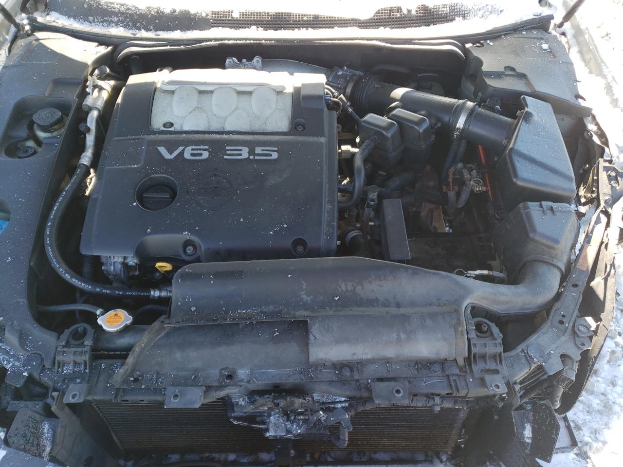 Photo 7 from auction – 2007 NISSAN MAXIMA SE with VIN 1N4BA41E87C859181