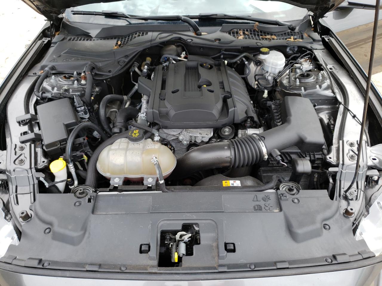 Photo 7 from auction – 2018 FORD MUSTANG with VIN 1FA6P8TH1J5113181